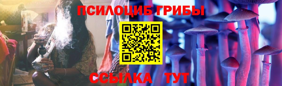 Псилоцибиновые грибы Cubensis  Вход с VPN  Мытищи 